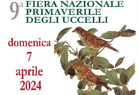 9° Firena Nazionale degli Uccelli di Primavera 